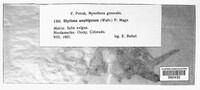 Image Associated With the Occurence